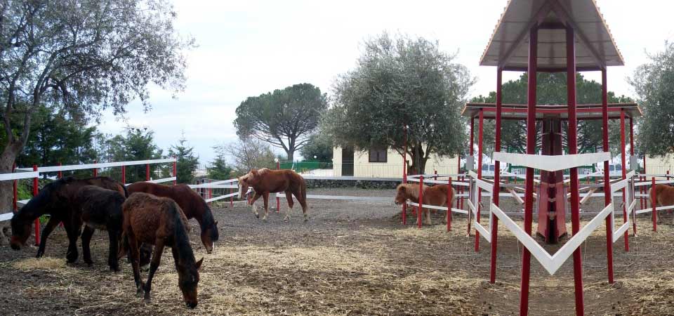 Maneggio - Portosalvo di Mascali (CT)